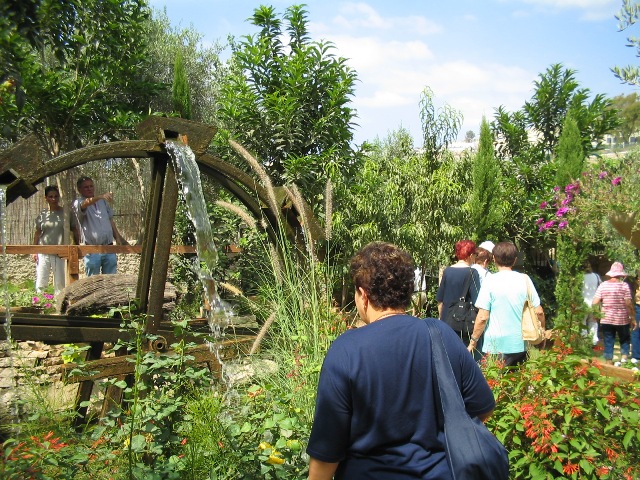 סניף גבעתיים: טיול בגליל, ספטמבר 2007