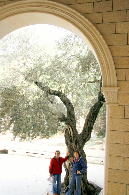 טיול לגליל, 9.2.08