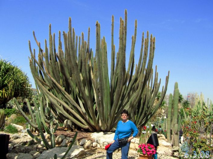 טיול לחולון, 6.3.08