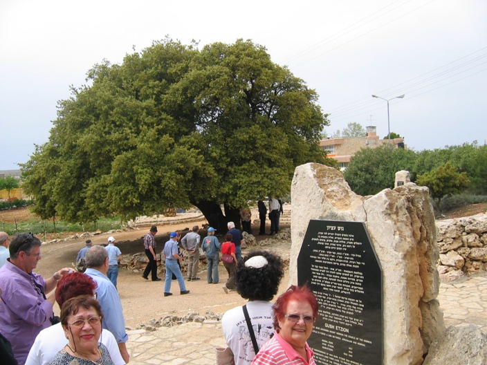 נופשון בירושלים, אפריל 2008