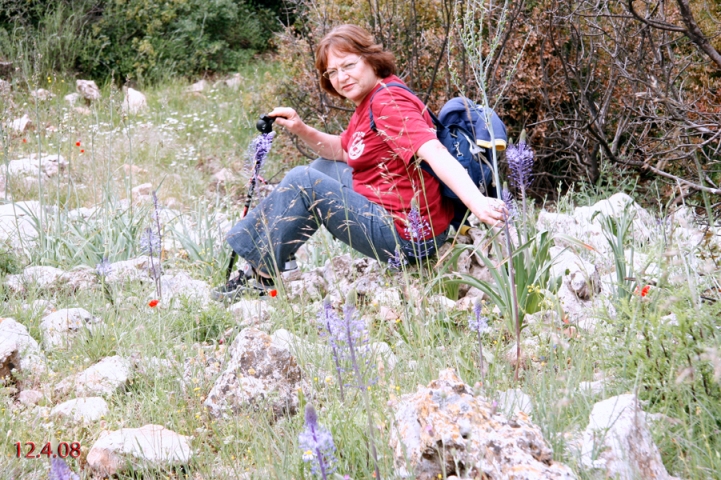 טיול אוהבי לכת בגליל, 12.4.08