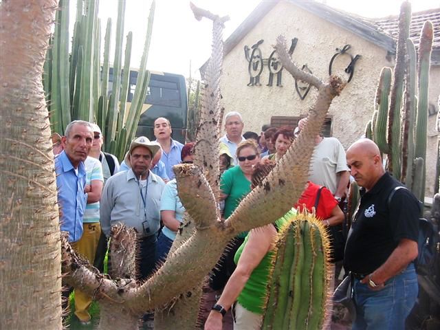 טיול לכפר חב"ד ולשפלה, 15.4.08