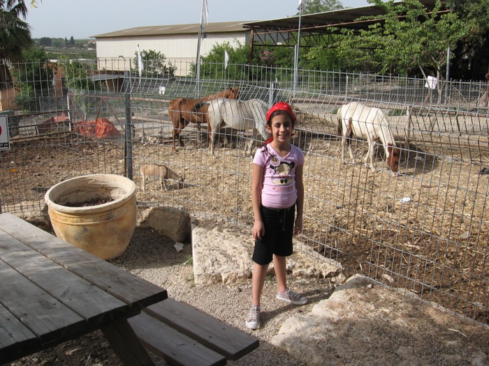 טיול "סבים-נכדים" בצפון, אפריל 2008