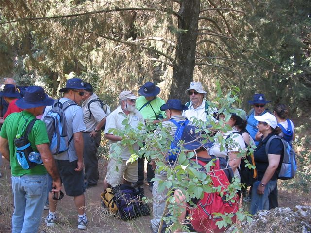 טיול בקטע שביל ישראל בנחל עמוד, יולי 2008