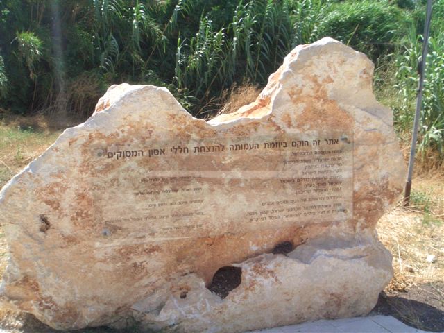 טיול צופי חרמון, יולי 2008