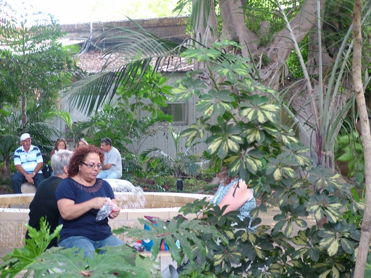 טיול לעכו ולרפא"ל, 4 בספטמבר 2008