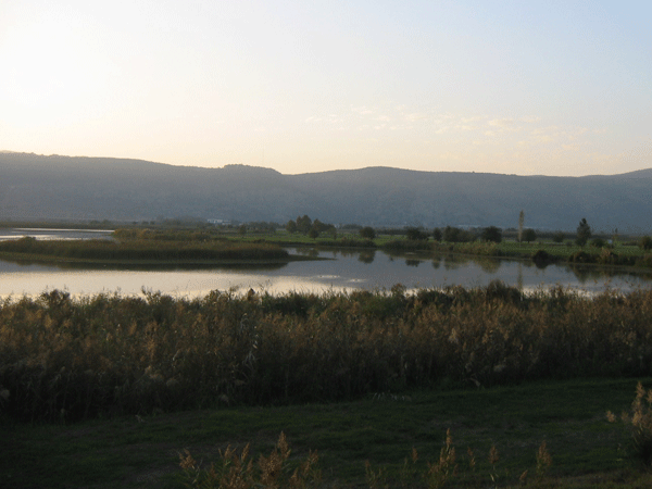 טיול סניף חולון לצפון - בעקבות נדידת הציפורים