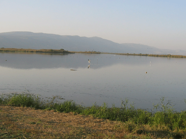טיול סניף חולון לצפון - בעקבות נדידת הציפורים