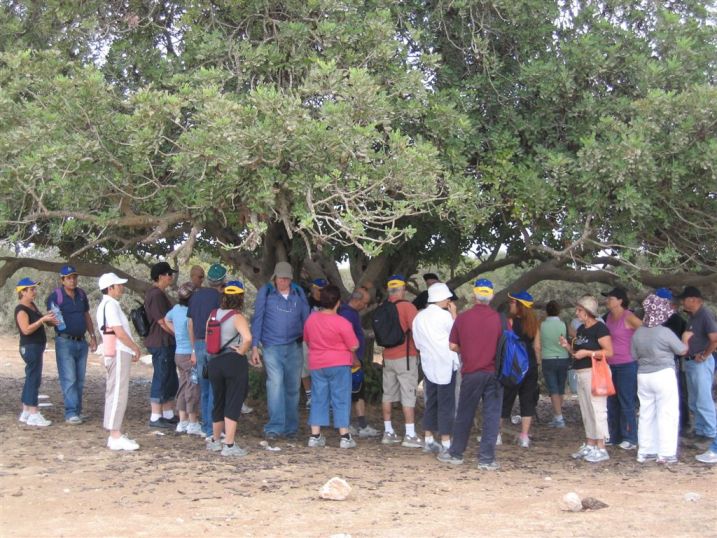 טיול לשפלה, 5.4.08