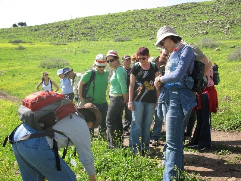 טיול בשביל ישראל באזור הכנרת, מרץ 2009