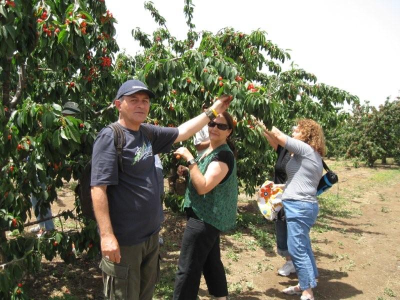 טיול לרמת הגולן, יוני 2009