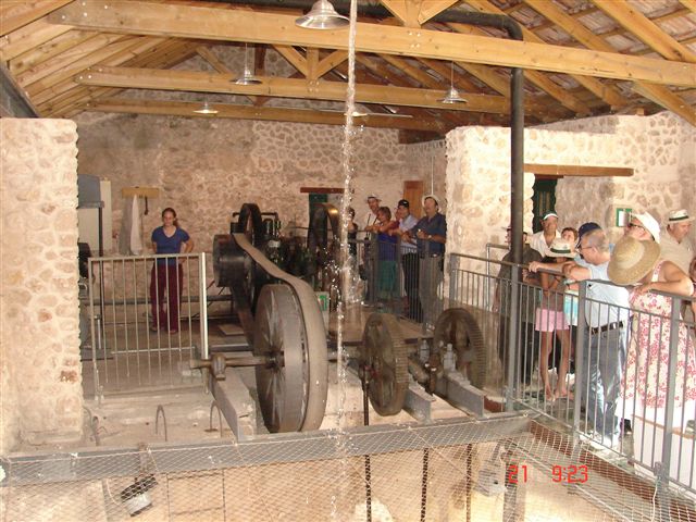 טיול סניף מודיעין-מכבים-רעות בעקבות הברון ופרי ההדר, יולי 2006