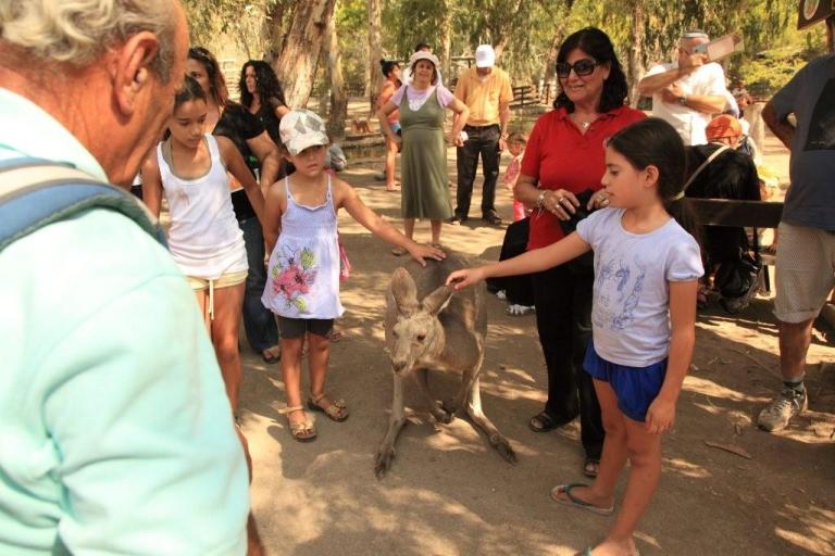 טיול סבים-נכדים, סוכות 2009