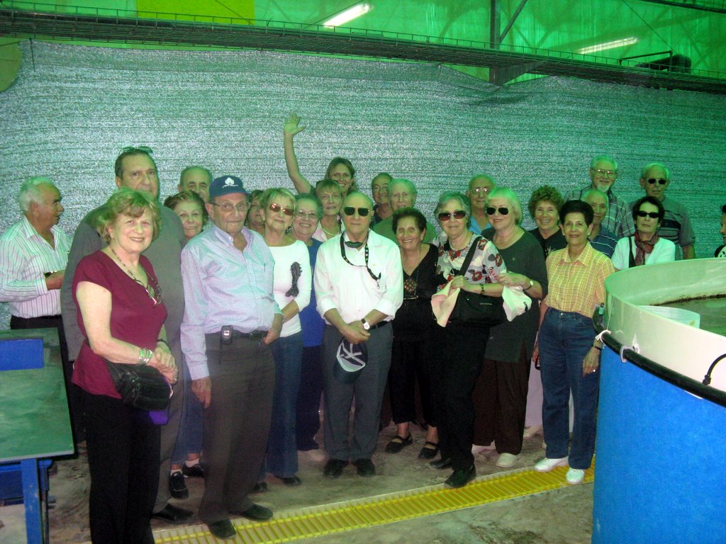 חקר חקלאות בחצבה