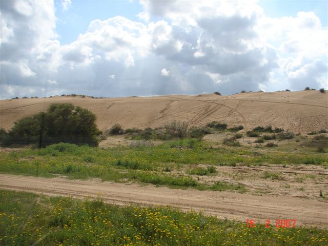 סניף רעות-מכבים-מודיעין: סיור בערים יבנה ואשדוד - "ארץ פלשת", פברואר 2007