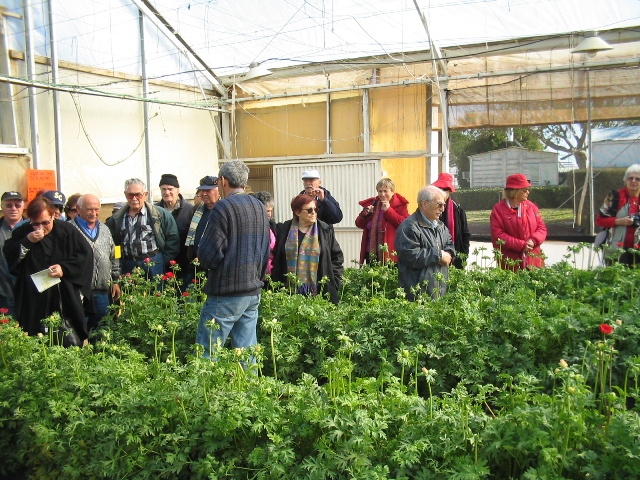 סניף גבעתיים: טיול בנגב המערבי, ינואר 2007