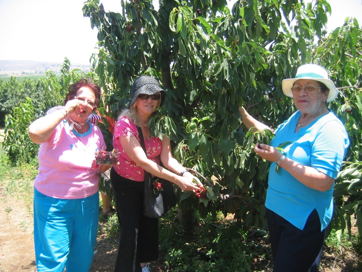 סניף חיפה: נופשון בצפון, יוני 2007